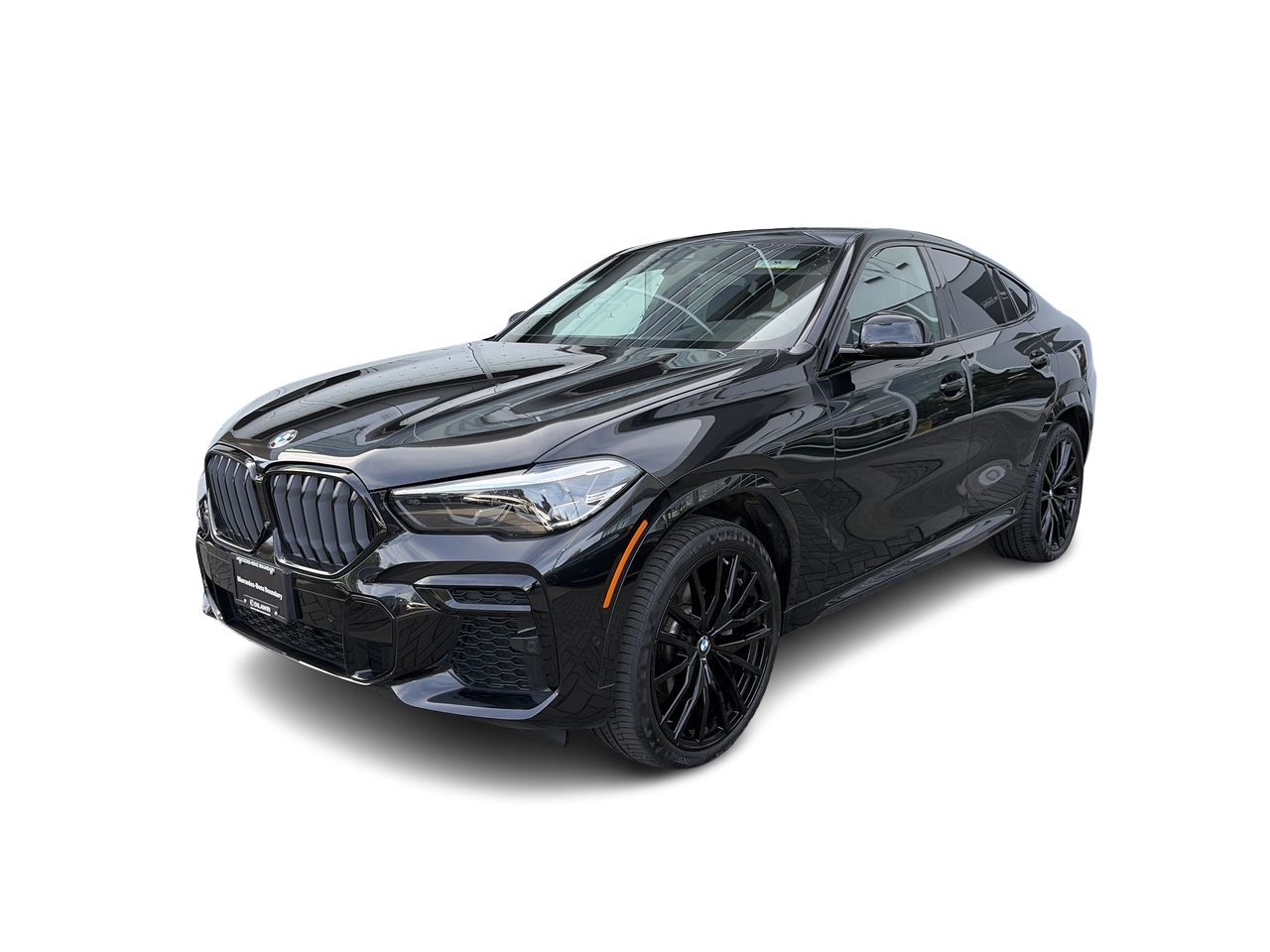 2023 BMW X6