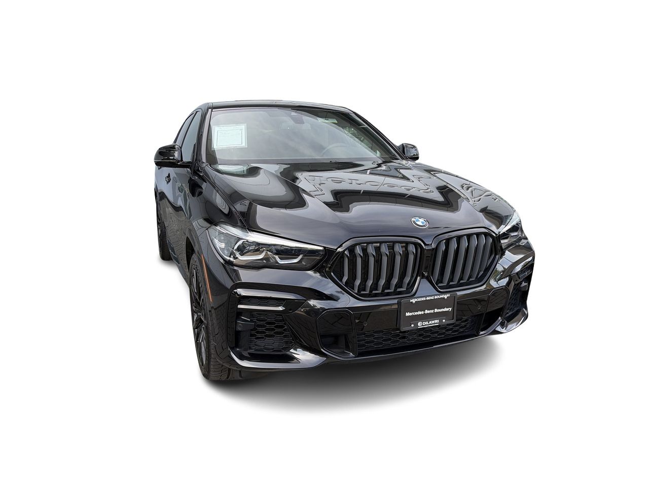 2023 BMW X6