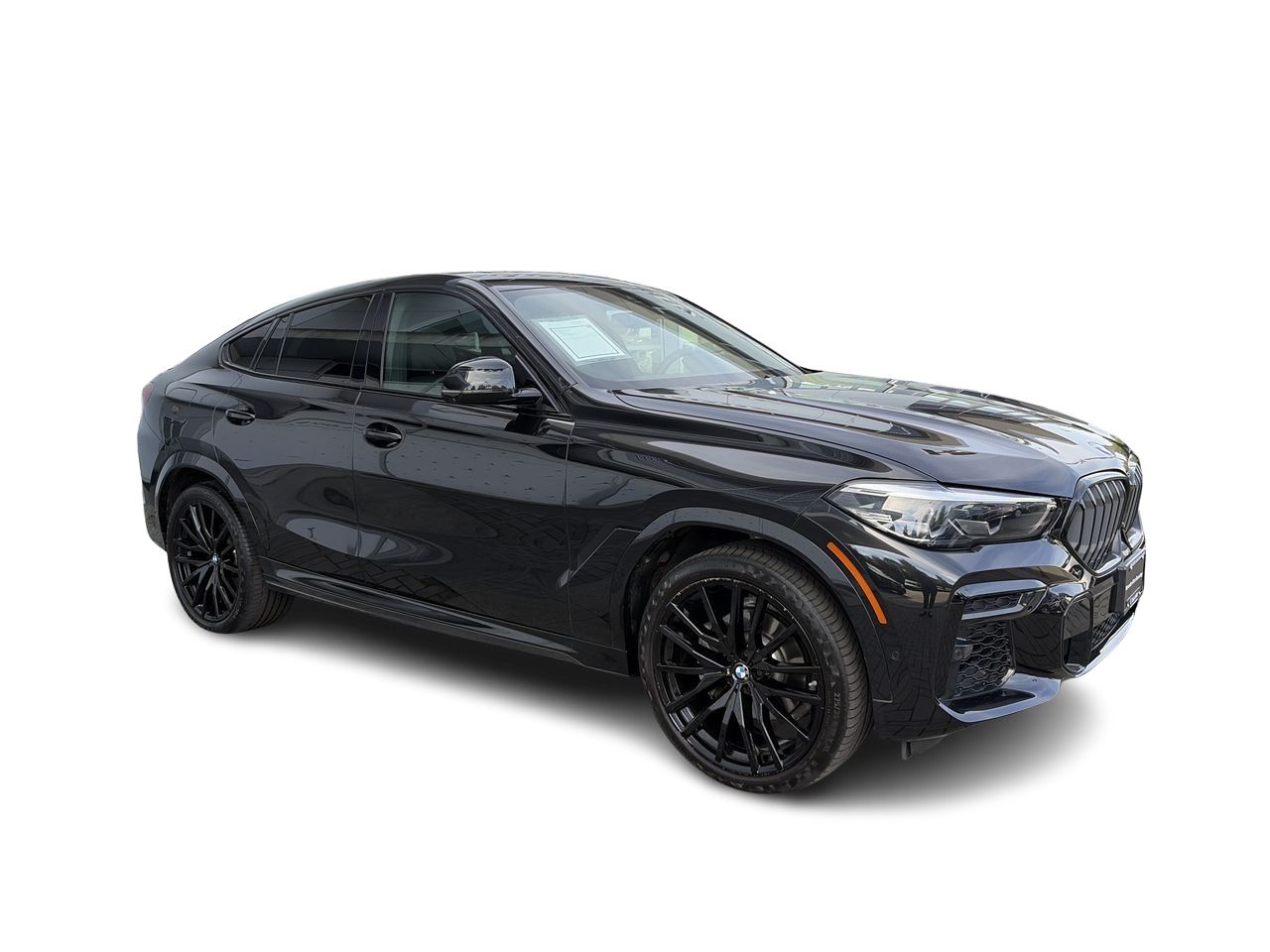 2023 BMW X6