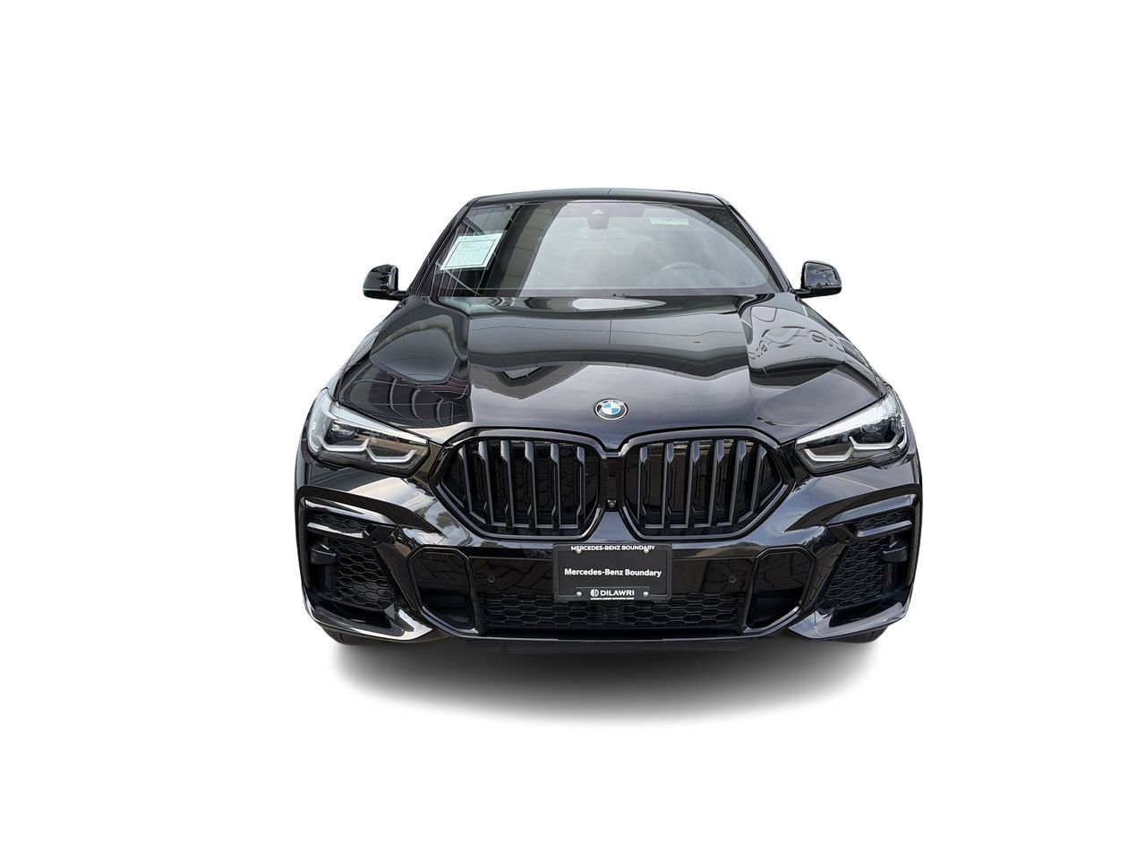2023 BMW X6