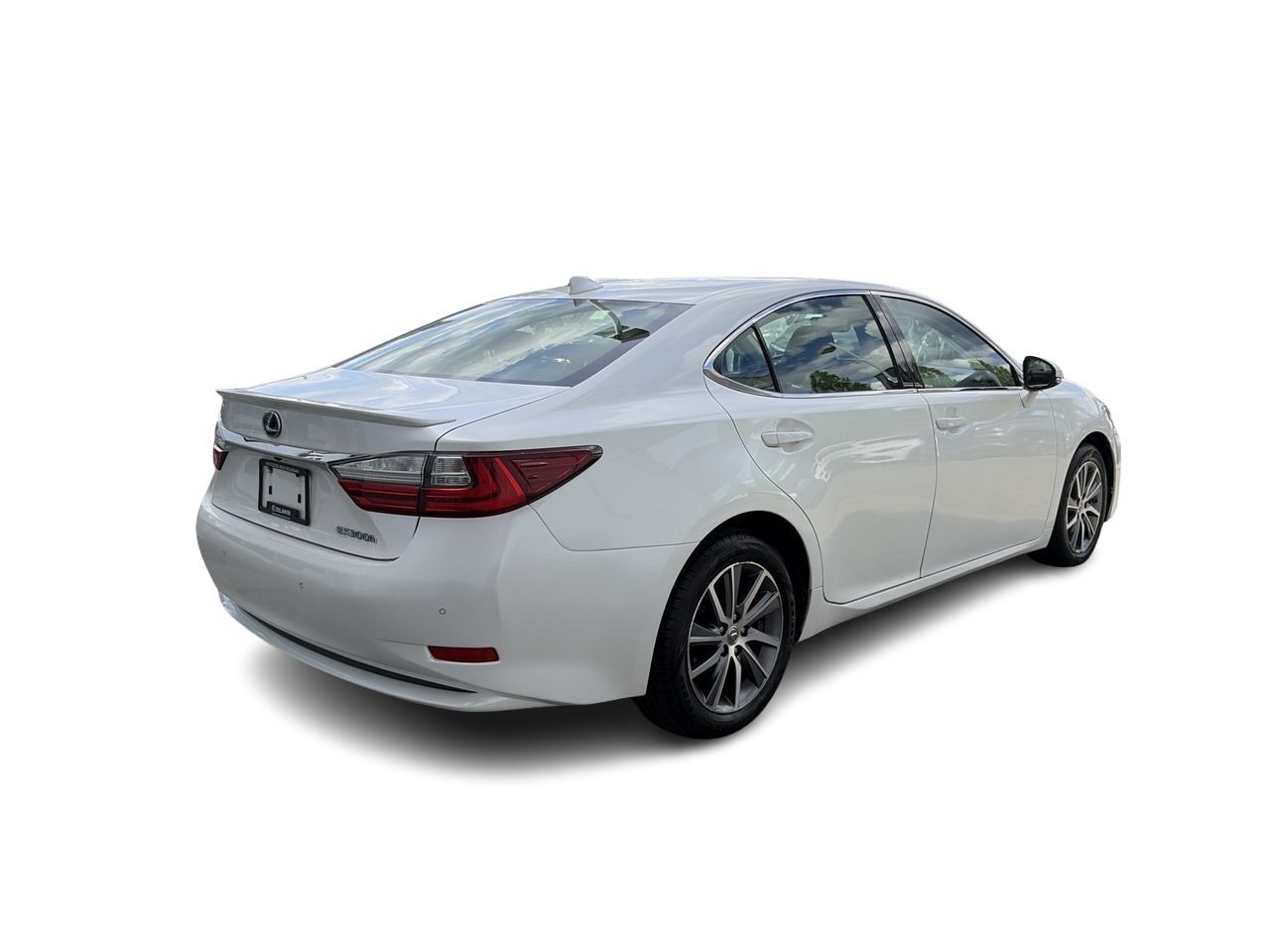 2017  ES300h