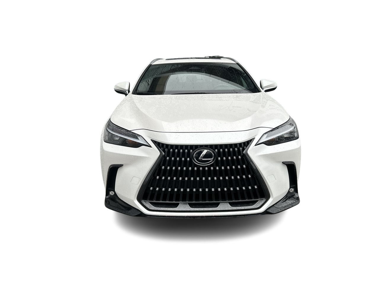 2025 Lexus NX