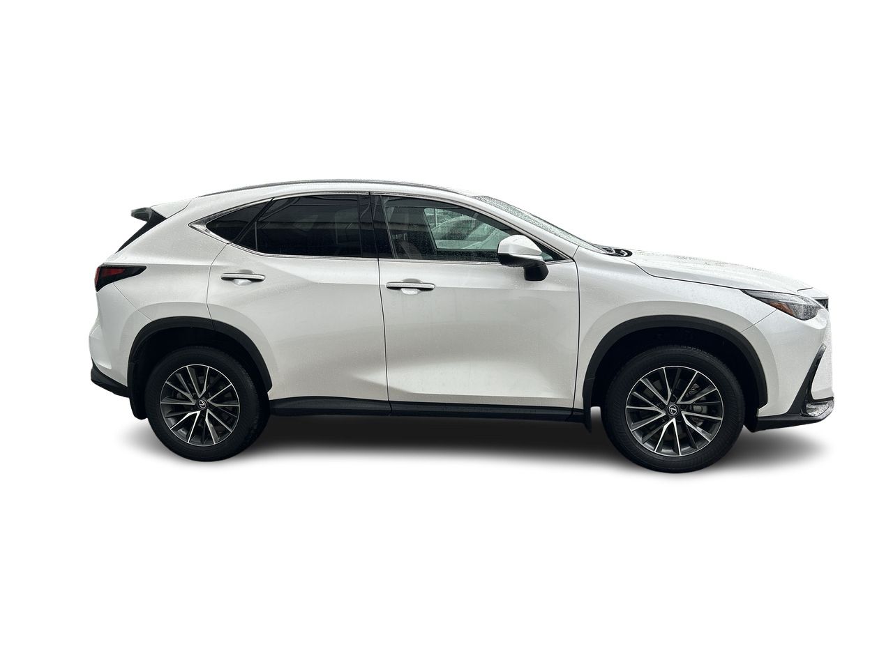 2025 Lexus NX