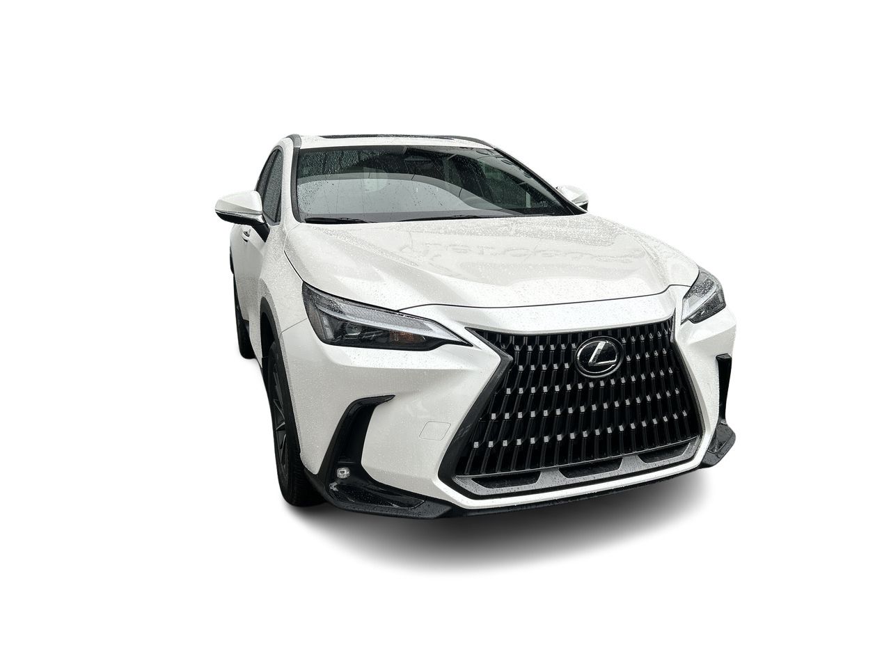 2025 Lexus NX