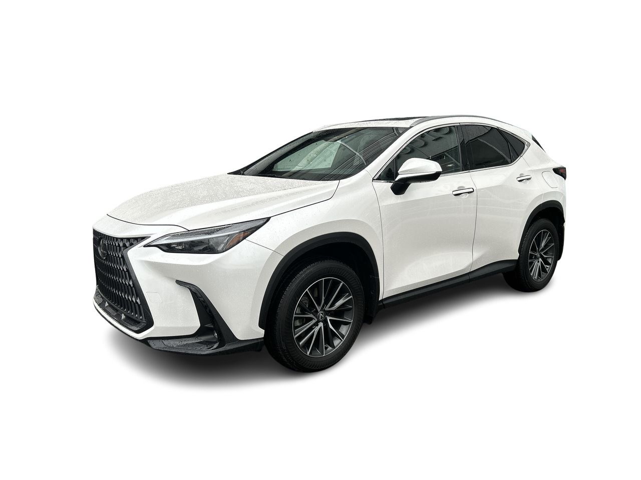 2025 Lexus NX