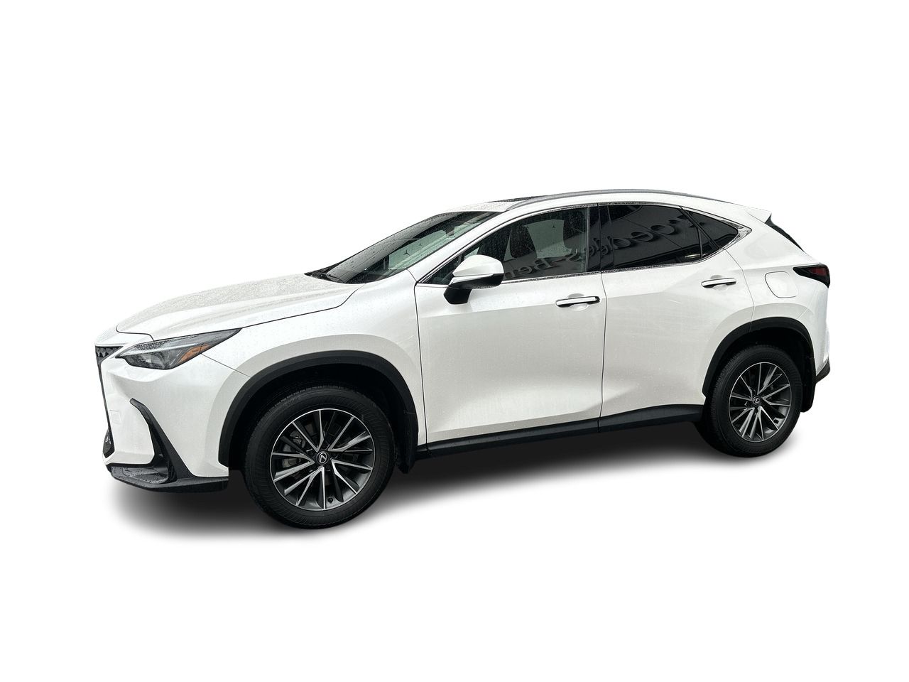 2025 Lexus NX