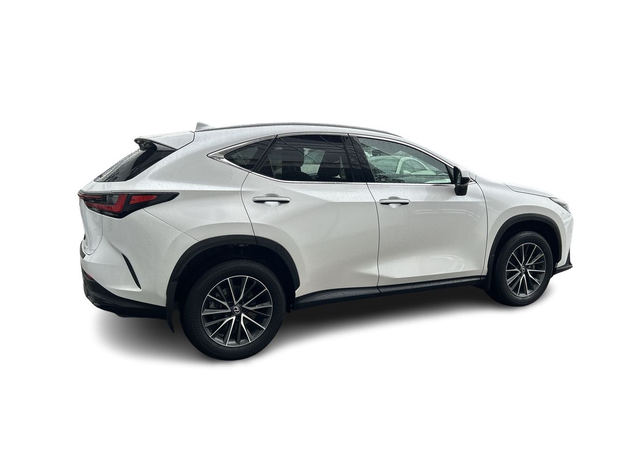 2025 Lexus NX