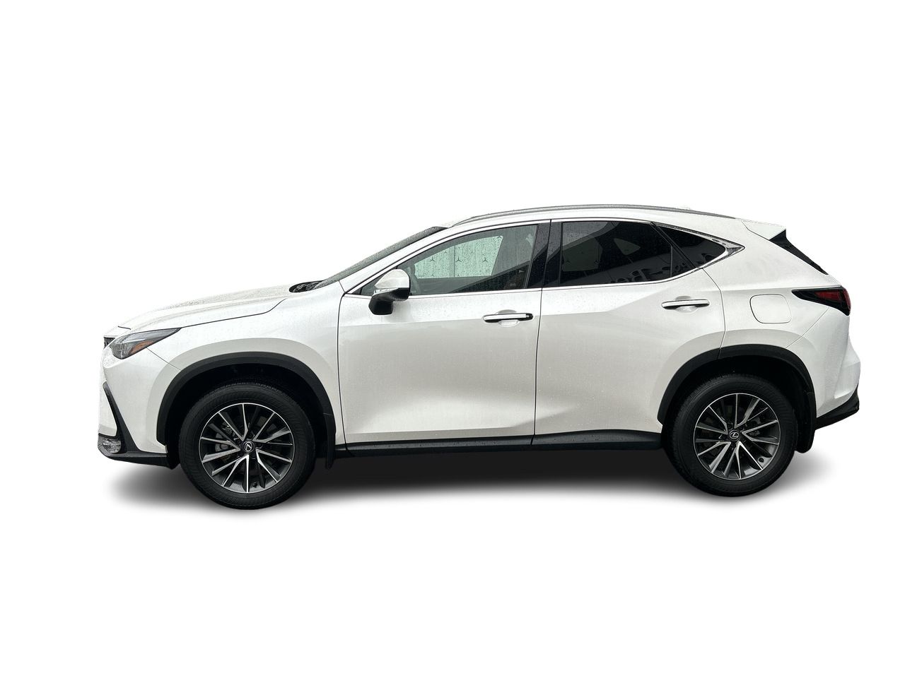 2025 Lexus NX