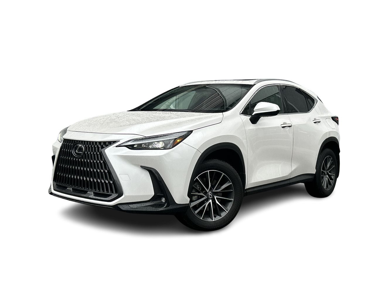 2025 Lexus NX