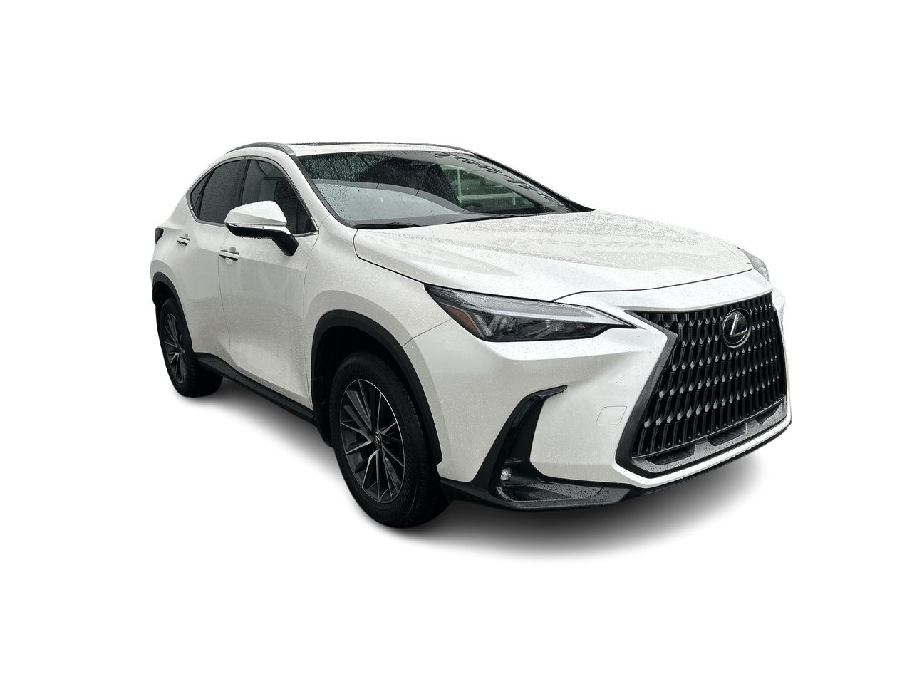 2025 Lexus NX
