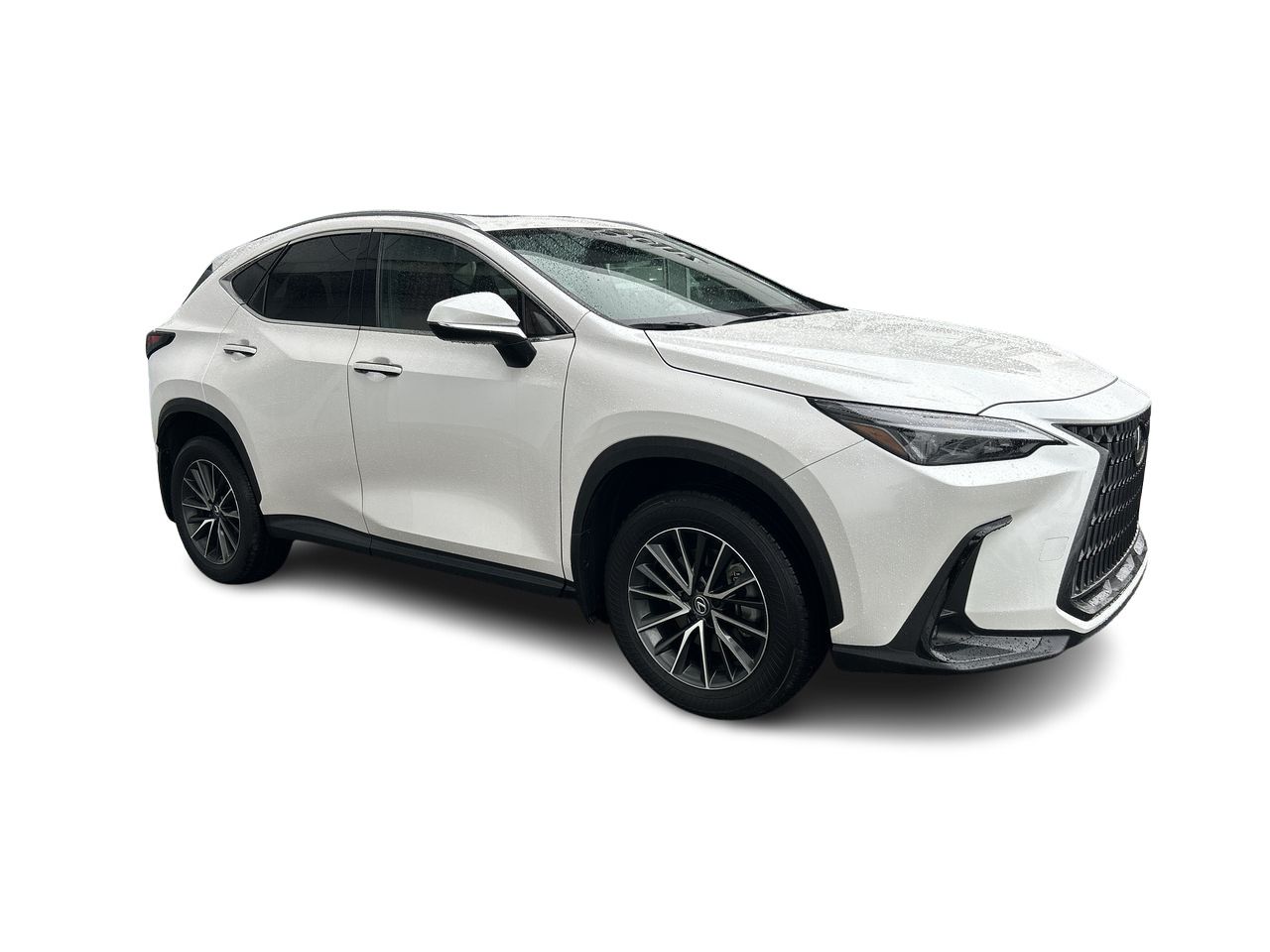 2025 Lexus NX