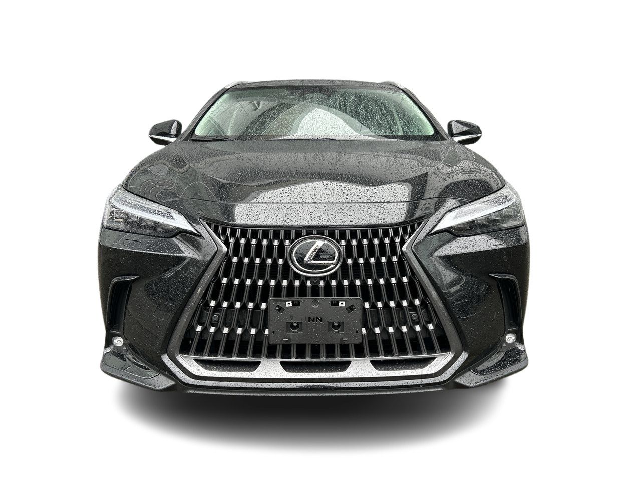 2025 Lexus NXh