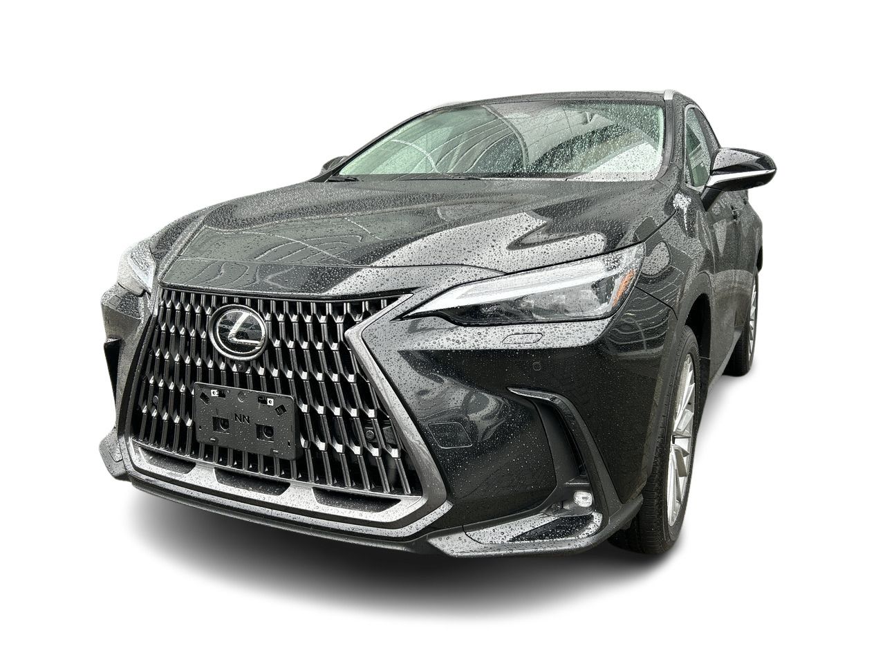 2025 Lexus NXh