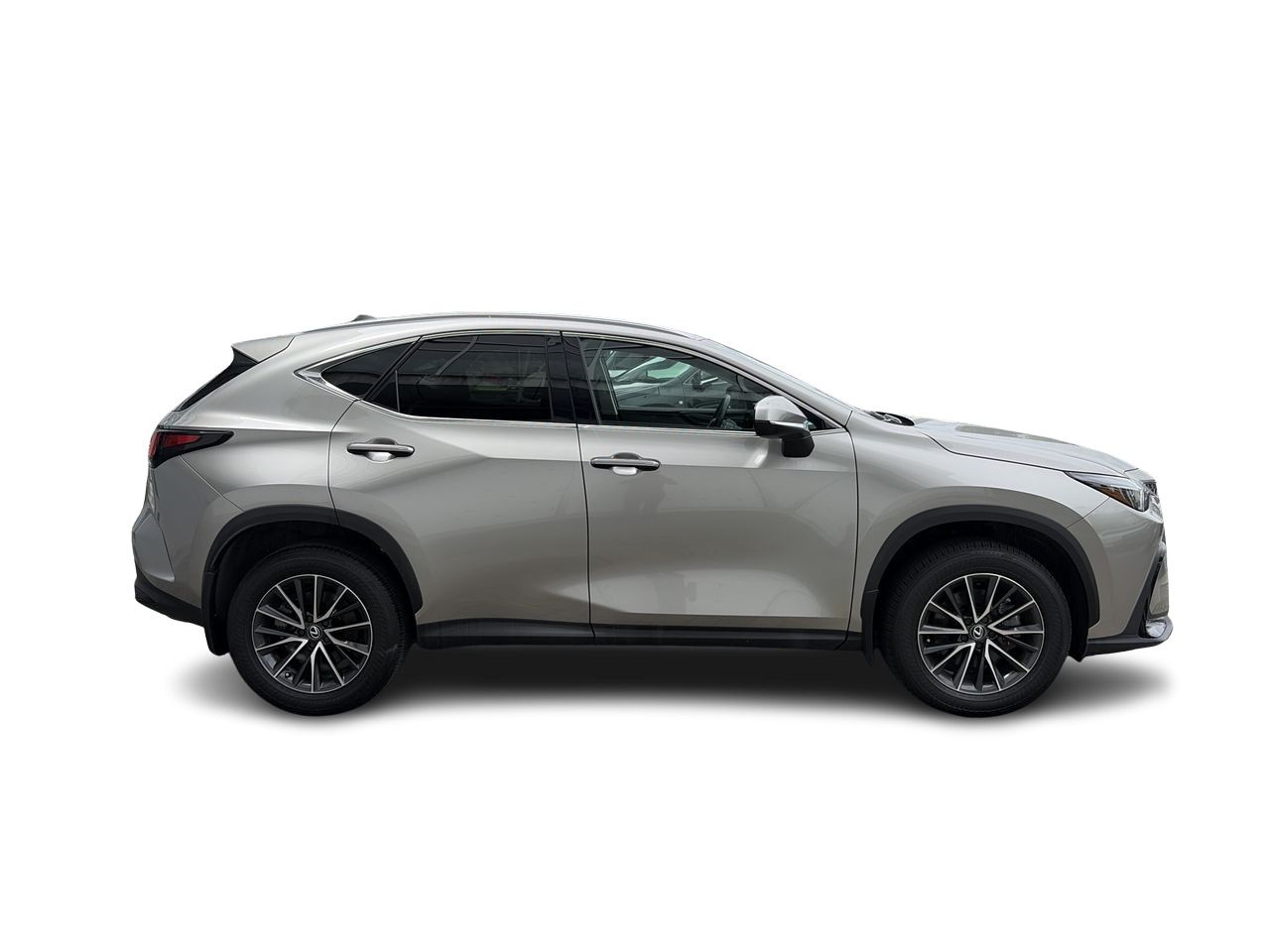2025 Lexus NXh