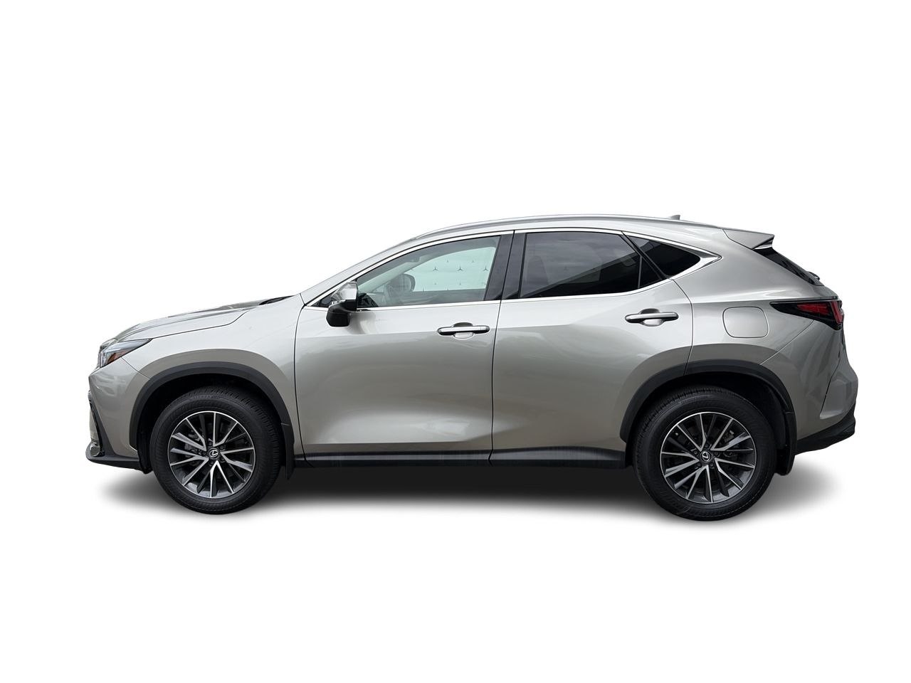 2025 Lexus NXh
