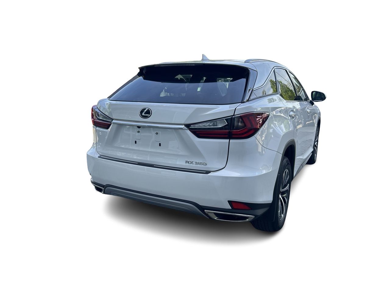 2022  RX