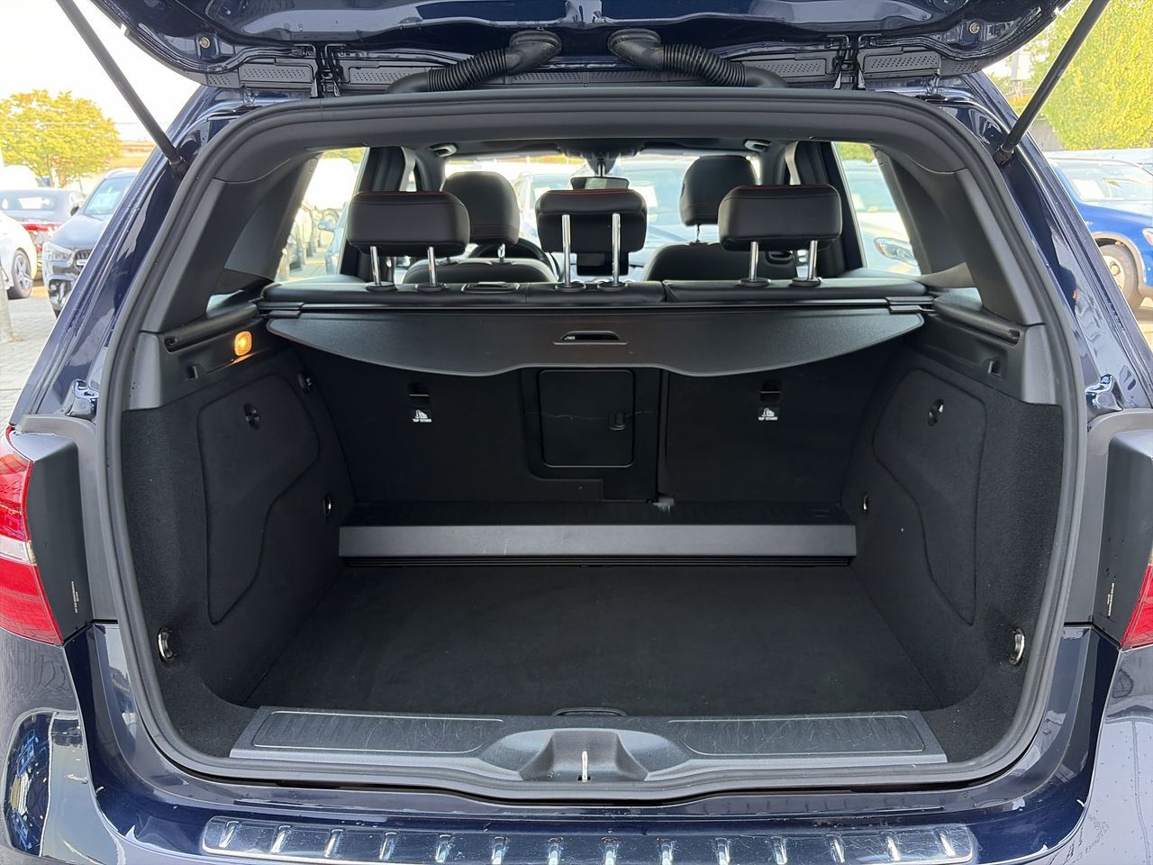 2017  B250