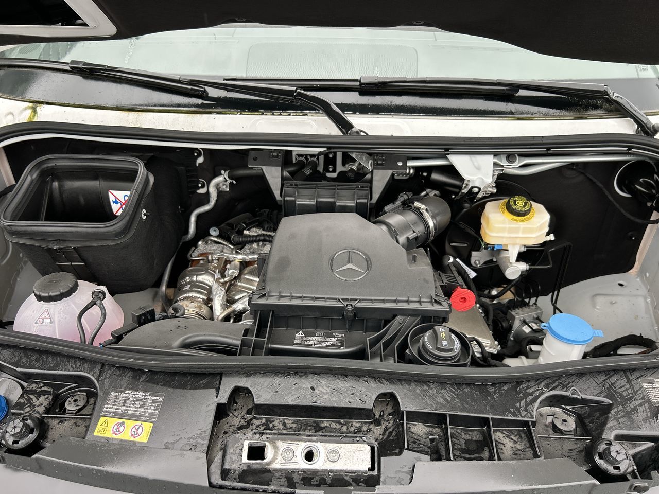 2024  Sprinter Cargo Van