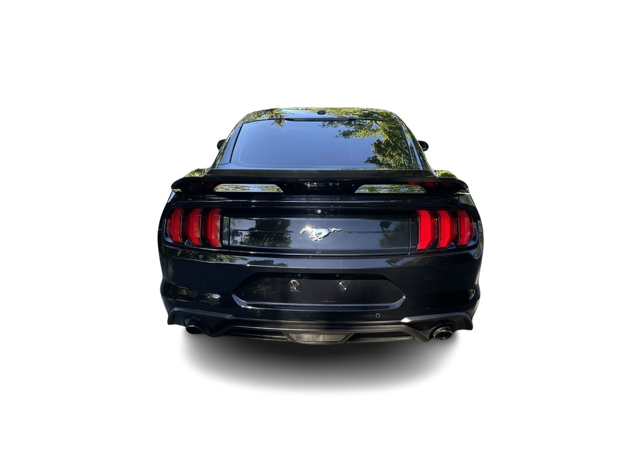 2019 Ford Mustang in North Vancouver, British Columbia