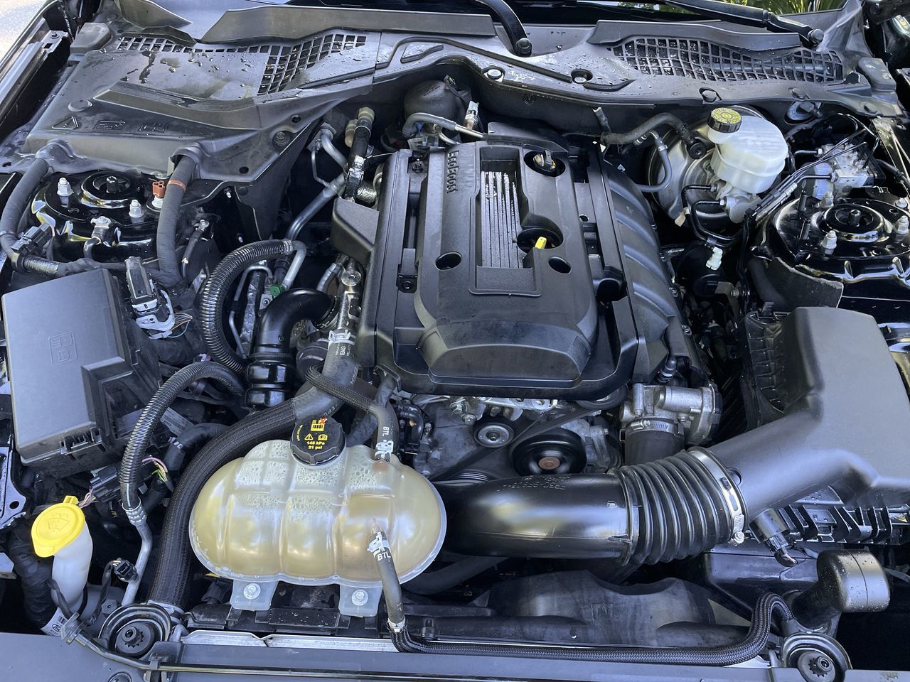 2019 Ford Mustang in North Vancouver, British Columbia
