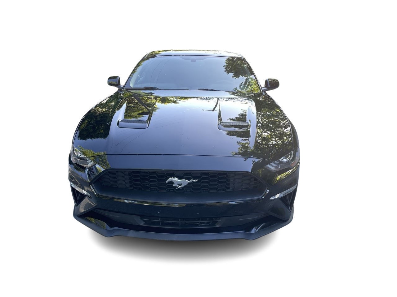 2019 Ford Mustang in North Vancouver, British Columbia