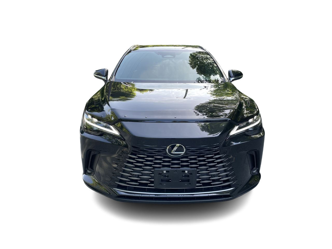 2024 Lexus RXH in North Vancouver, British Columbia