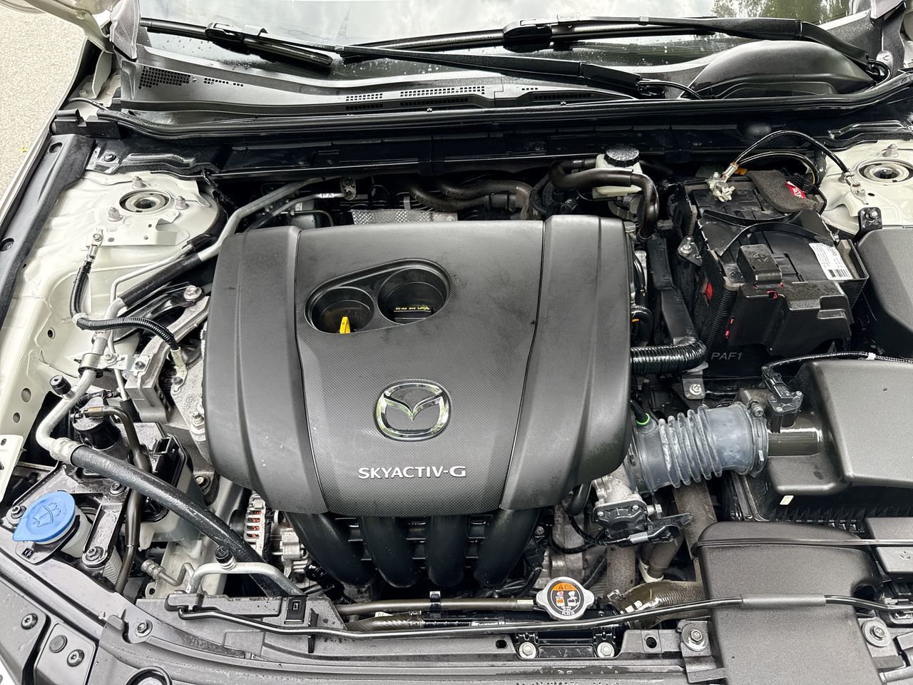 2021  3 Sport