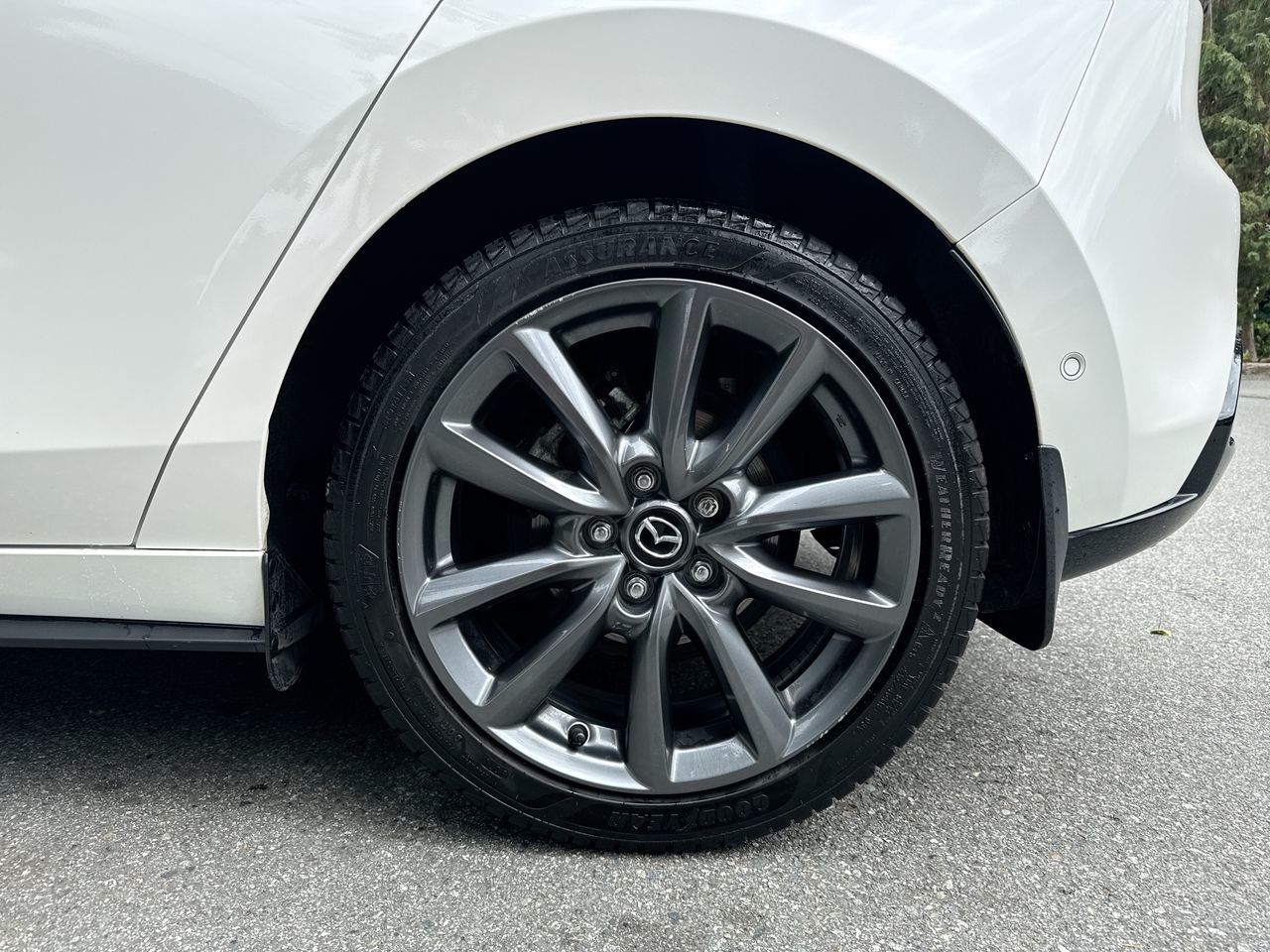 2021  3 Sport