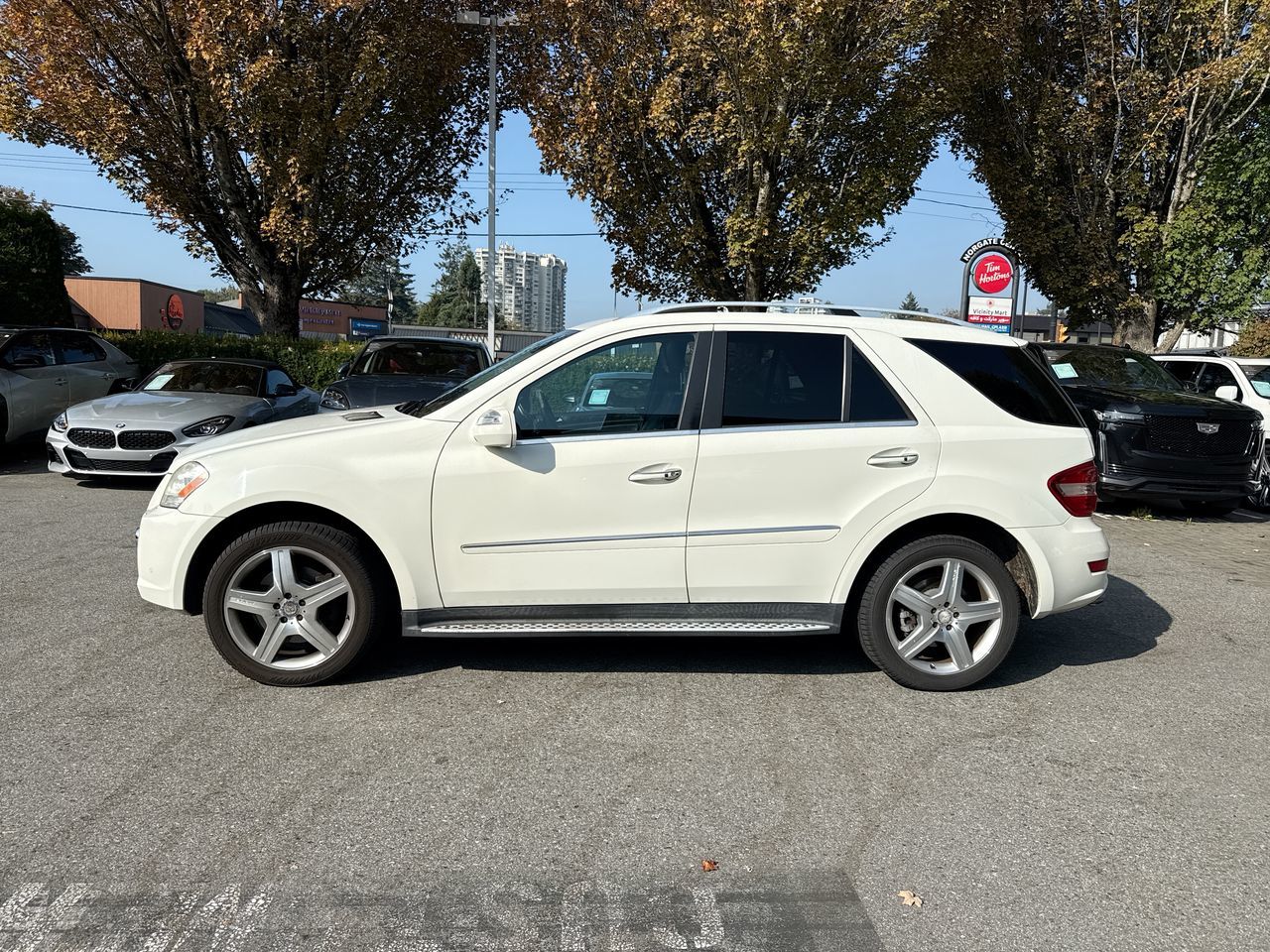 2010 Mercedes-Benz ML550