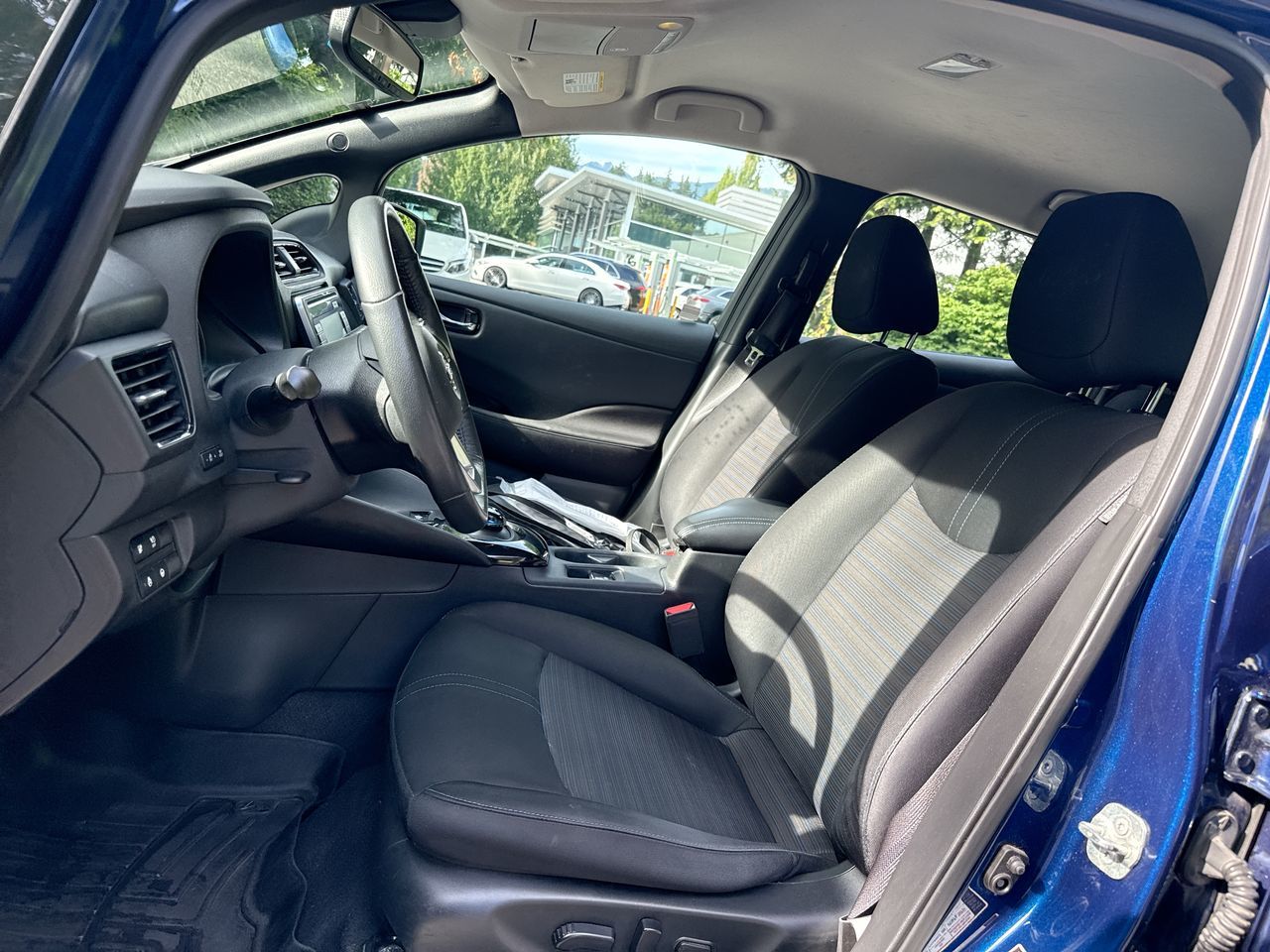 2019  Leaf