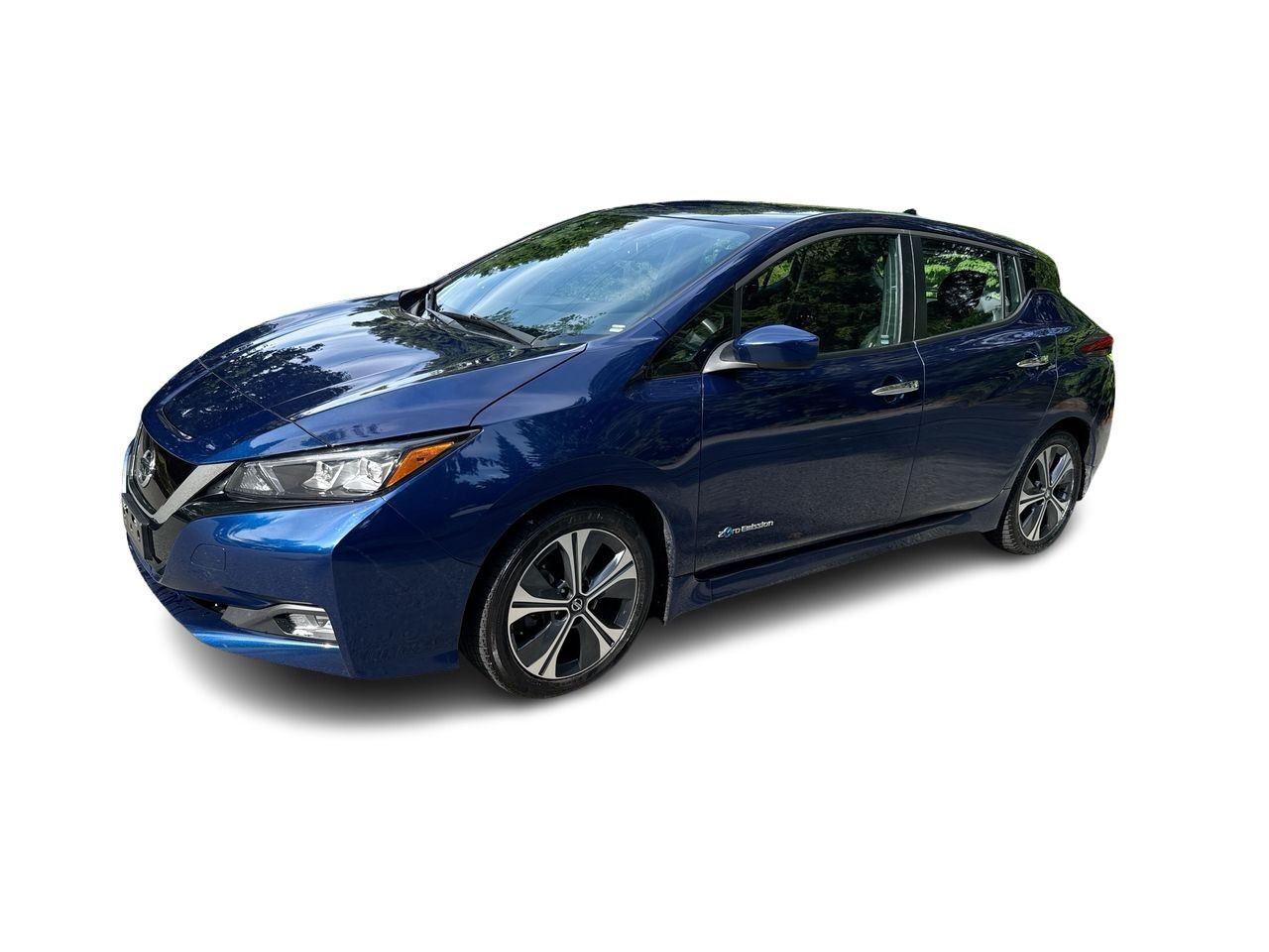 2019  Leaf