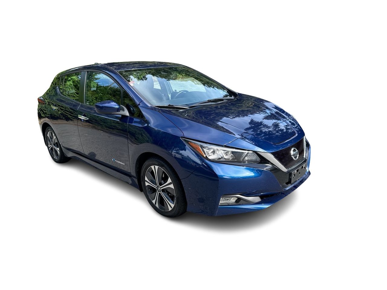2019  Leaf