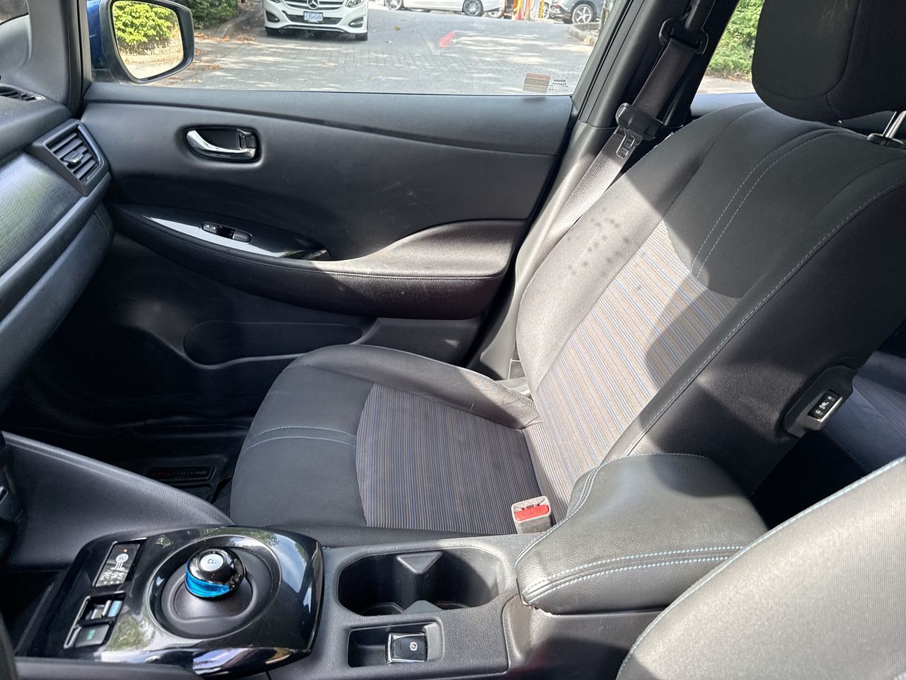 2019  Leaf