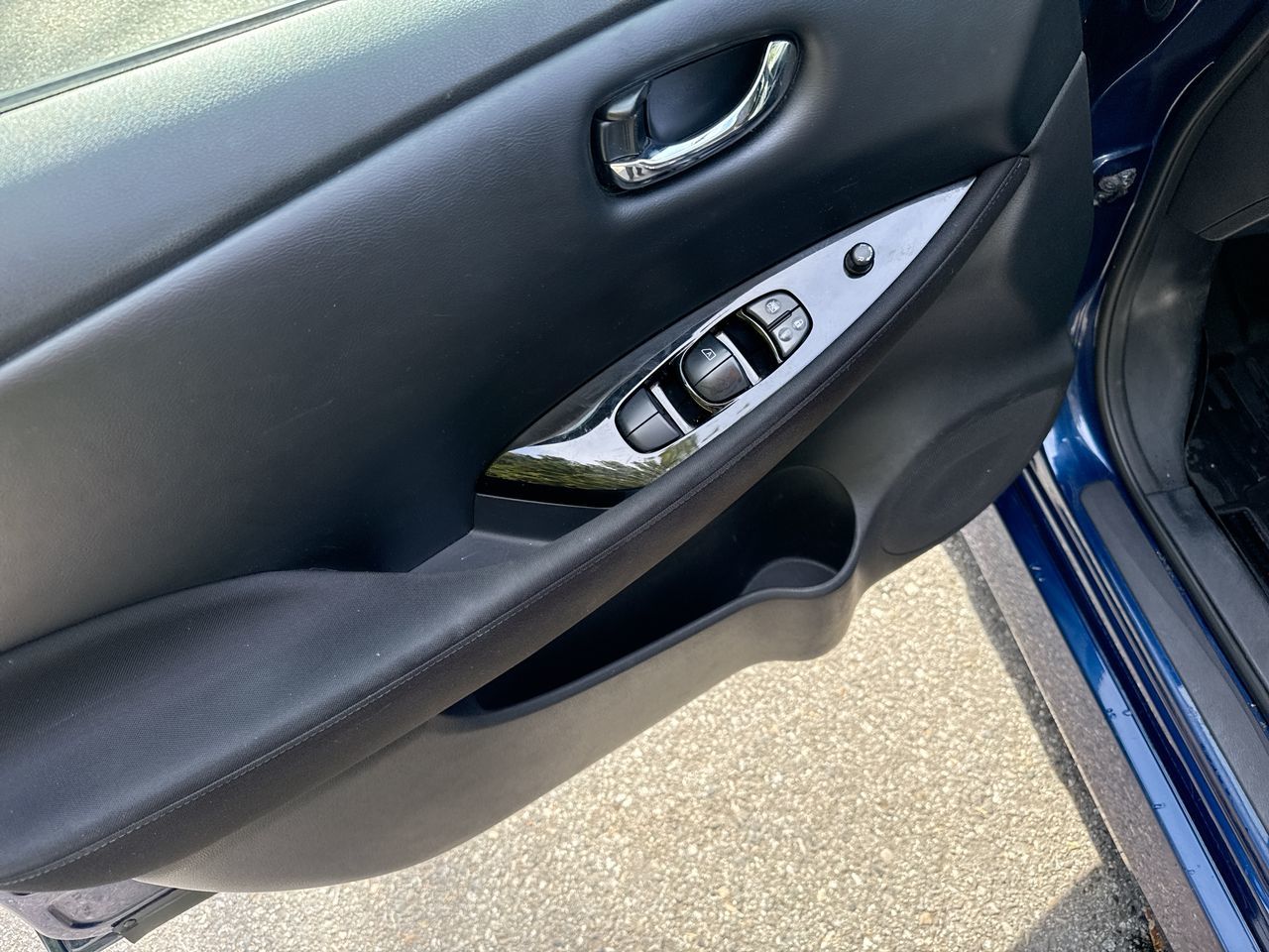 2019  Leaf