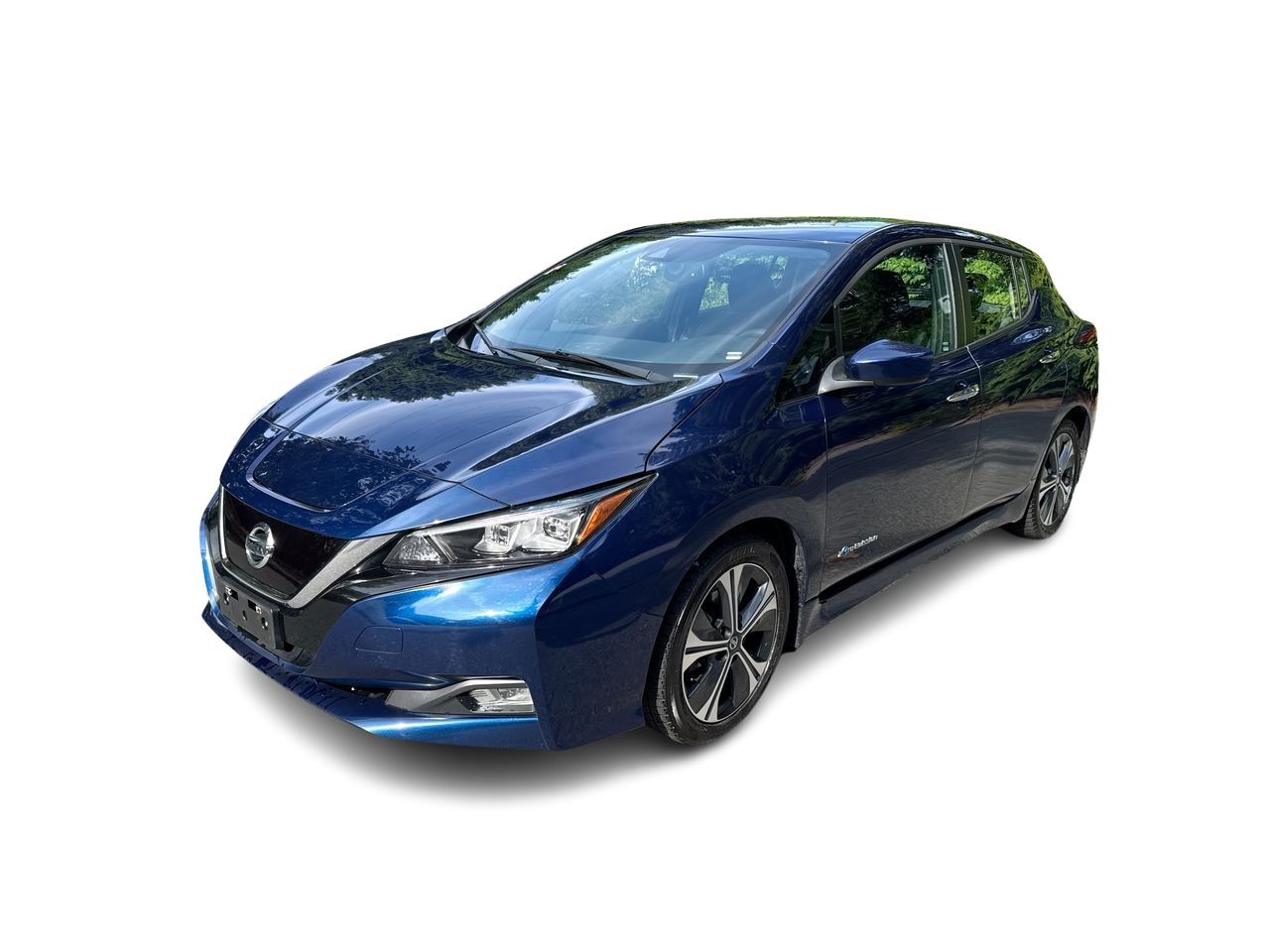 2019  Leaf