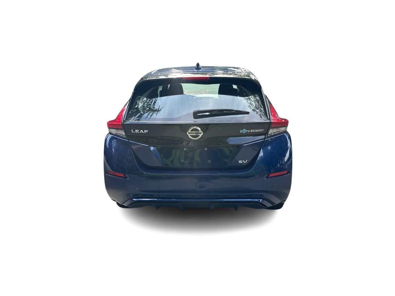 2019  Leaf