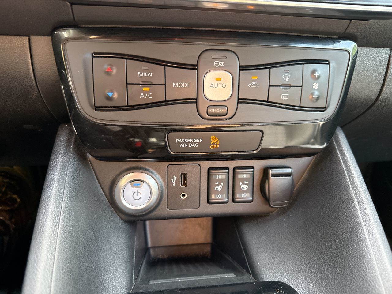 2019  Leaf