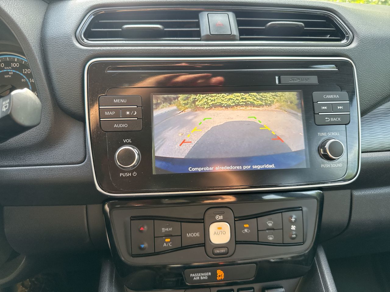 2019  Leaf