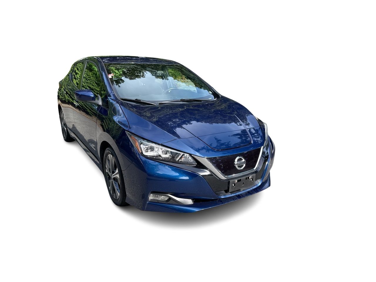 2019  Leaf
