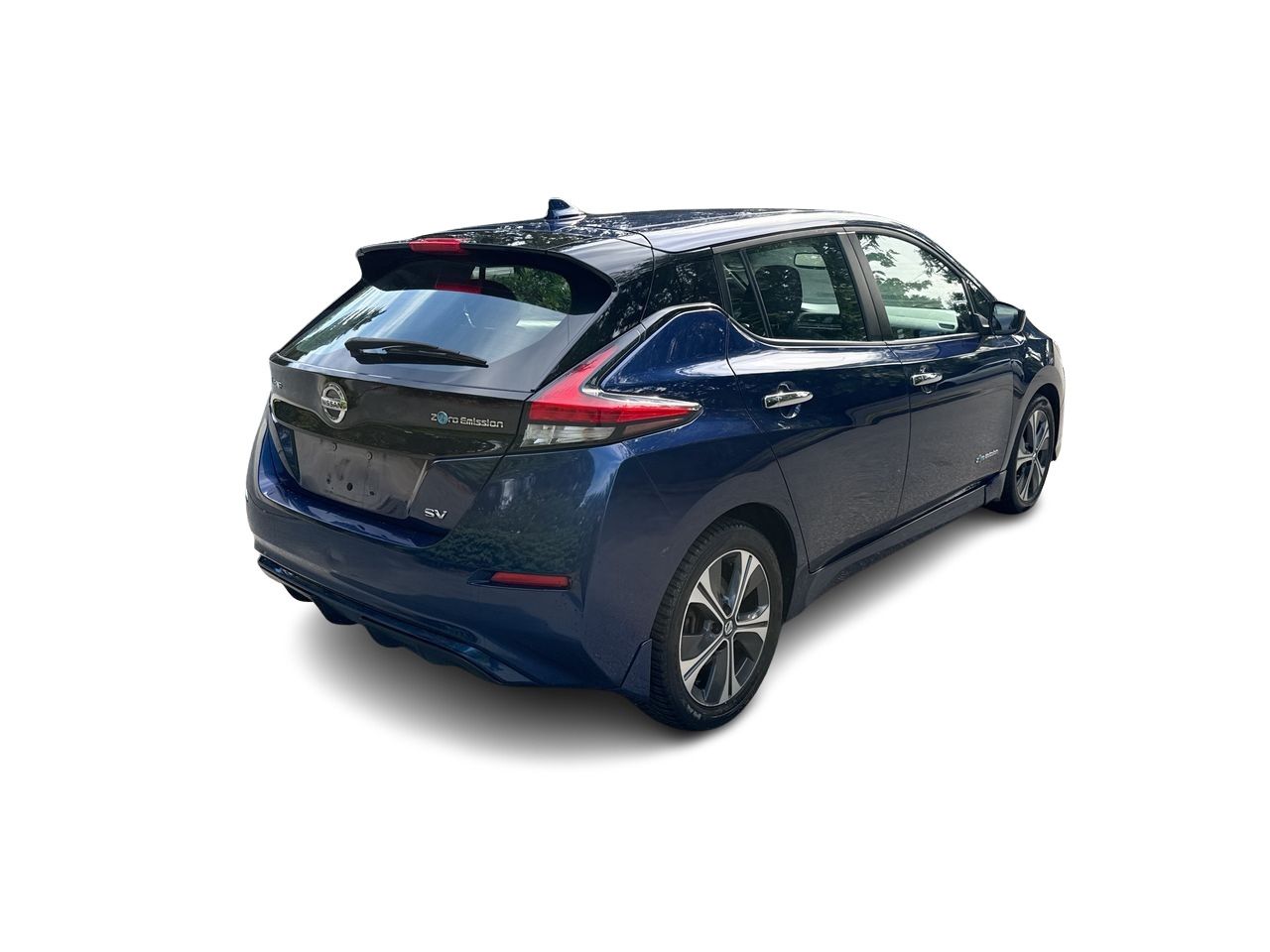 2019  Leaf