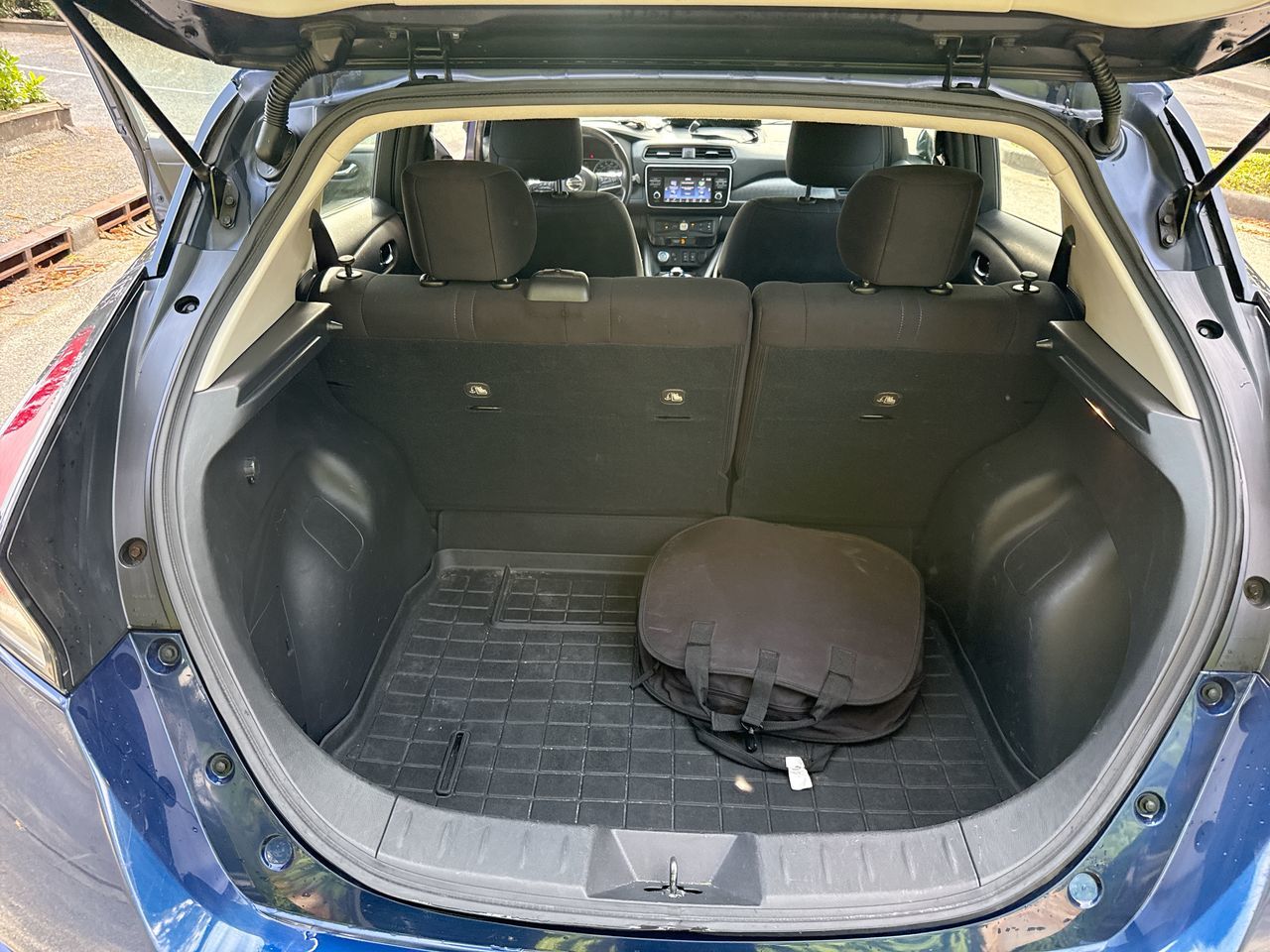 2019  Leaf