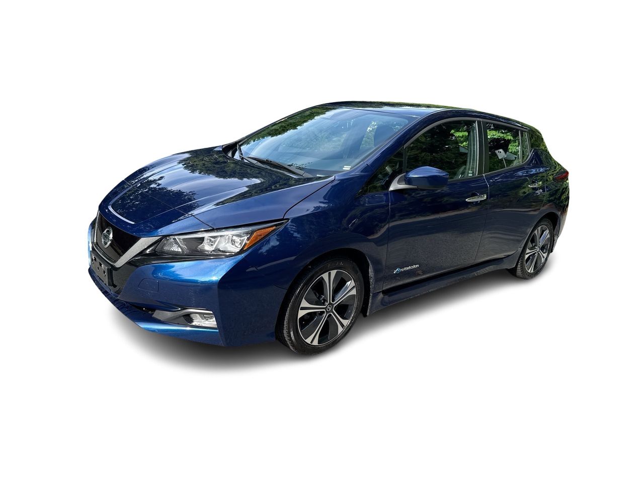 2019  Leaf
