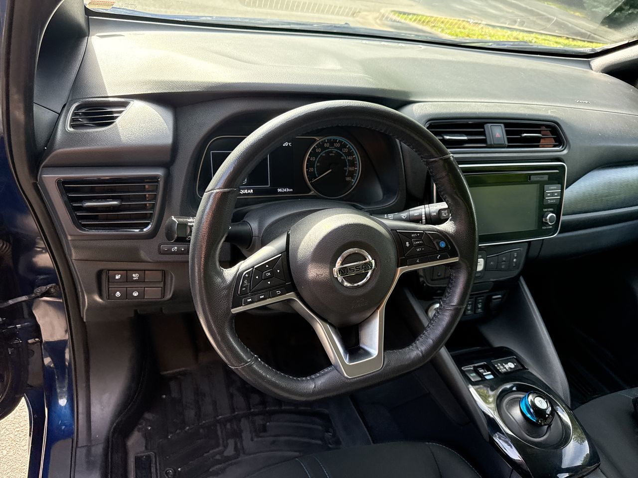 2019  Leaf