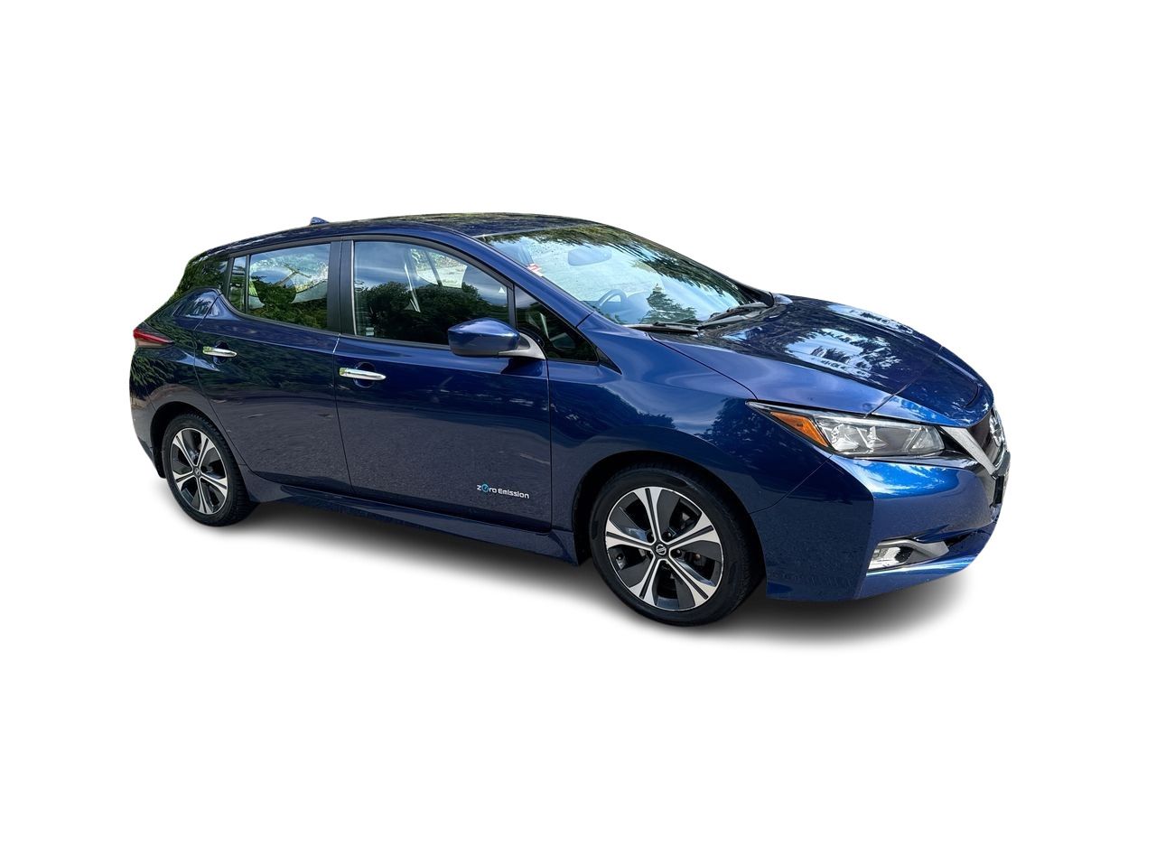 2019  Leaf