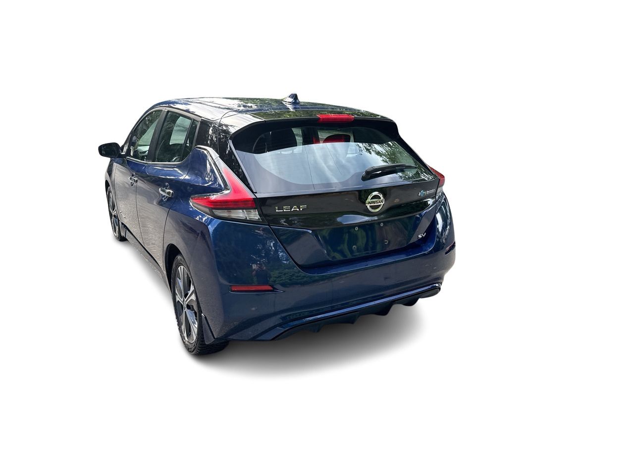 2019  Leaf