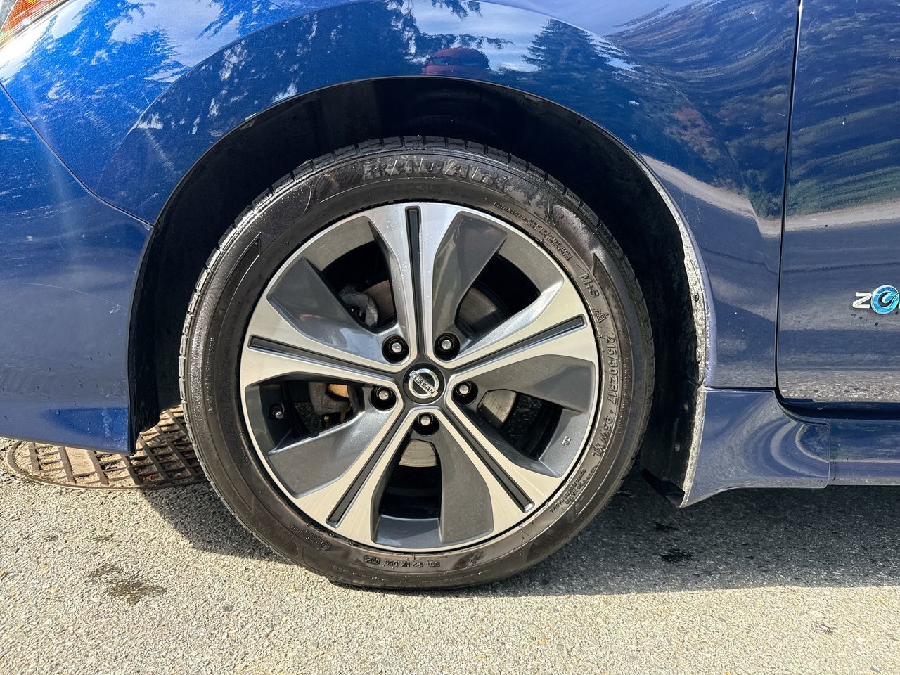 2019  Leaf