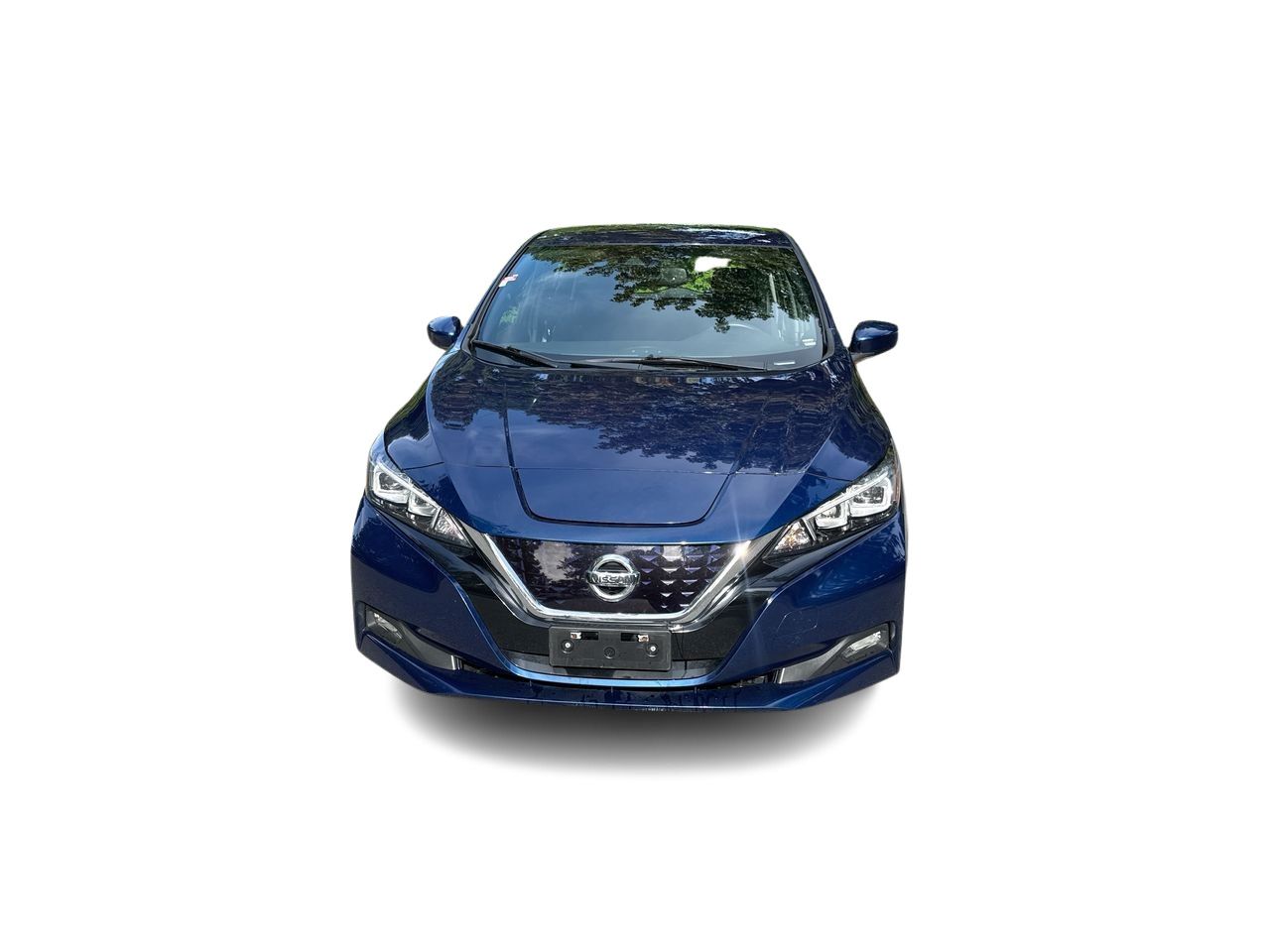 2019  Leaf