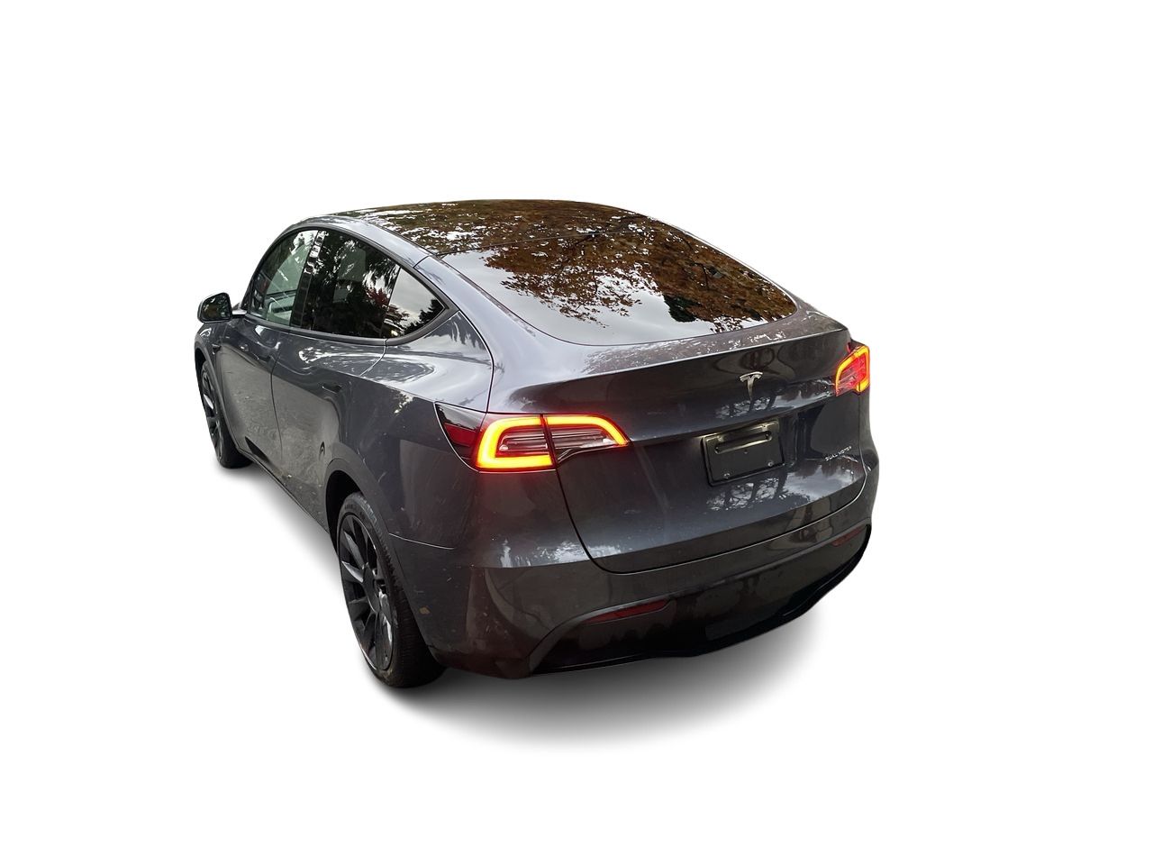2020 Tesla Model Y