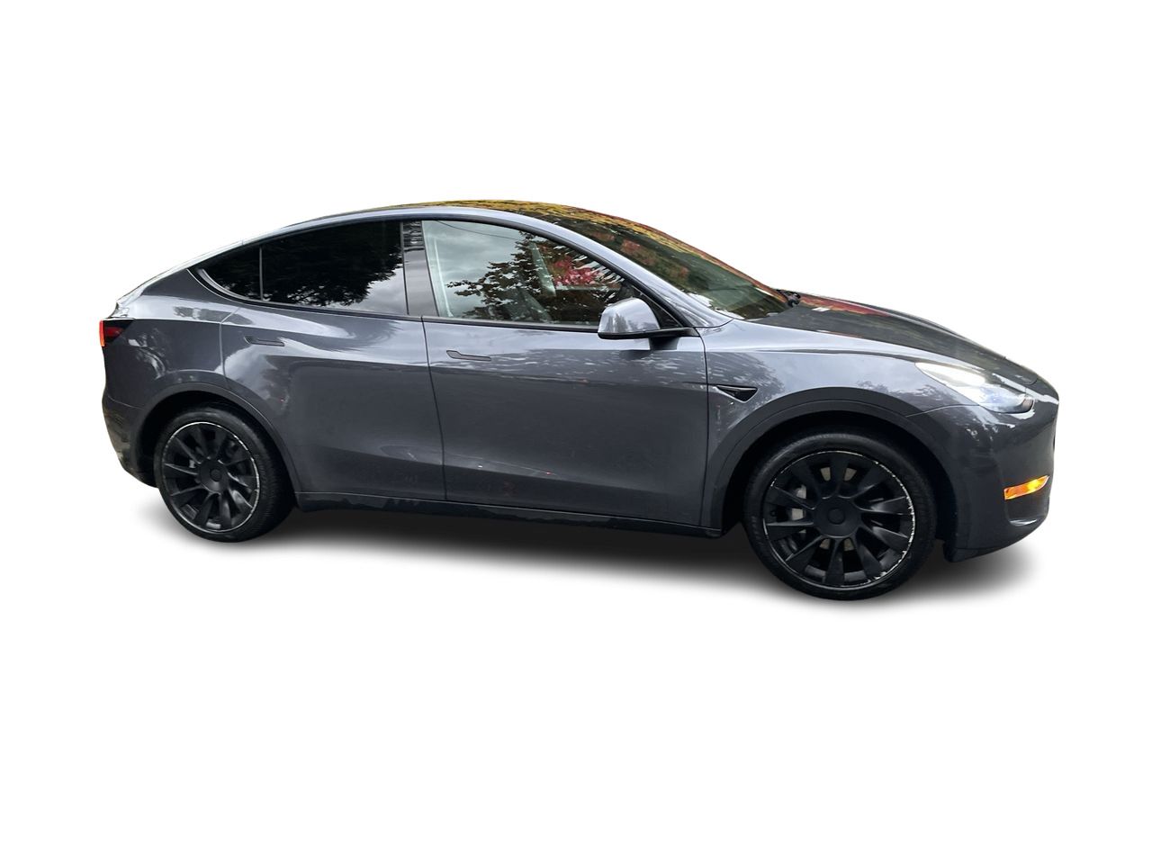 2020 Tesla Model Y
