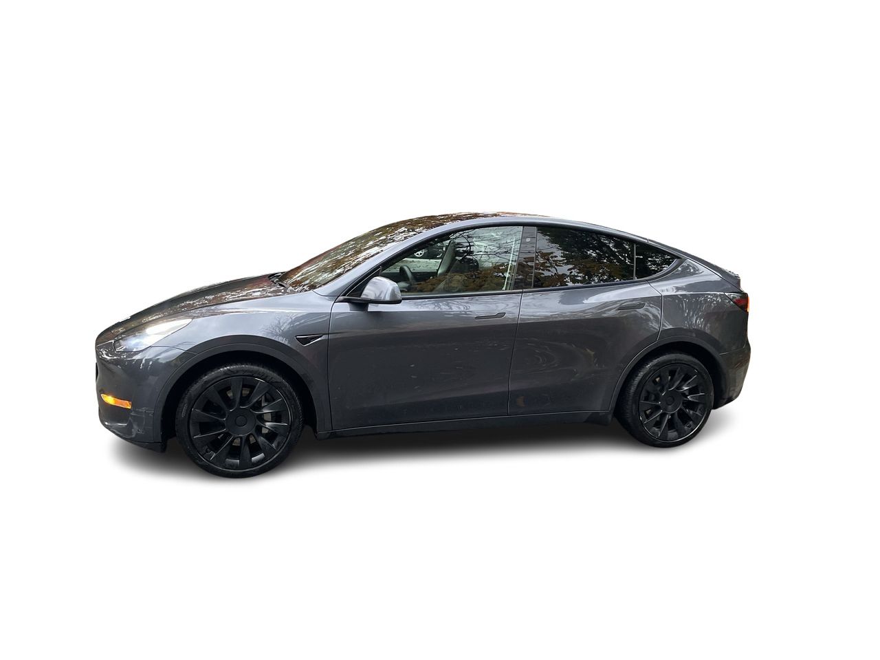 2020 Tesla Model Y